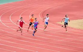 田径预选赛掀起高潮，洞庭白虎队逆转钱塘天狼队，高压逼抢奏功——细节处理更胜一筹的简单介绍
